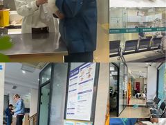 -瑞派天使宠物医院·神经外科·骨科·核磁CT(洛川中路店)