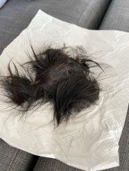 -慧婴轩婴儿理胎发胎毛笔胎毛画手足印(通州店)
