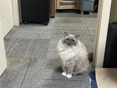 -零纪元VR体验馆·桌游(黄浦店)