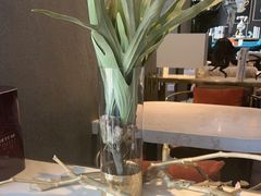 -上岛咖啡(大德店)