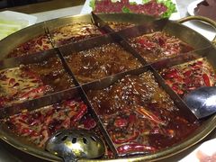 -杨家火锅(国美店)