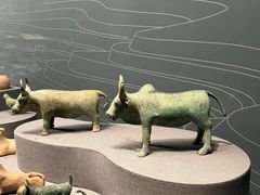 -广西壮族自治区博物馆