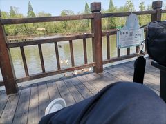 -溱湖国家湿地公园