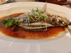 -上海和平饭店龙凤厅 Dragon Phoenix