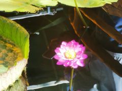 -国家植物园南园