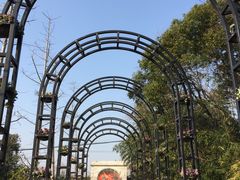 -金山农民画村-枫泾波兰倒置屋