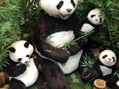 -济州岛泰迪熊博物馆