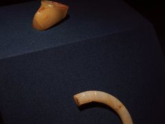 -南京博物院