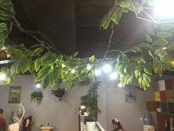 -Ly形象设计