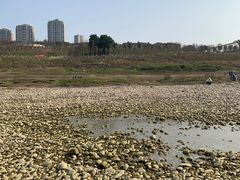 -金海湾滨江公园