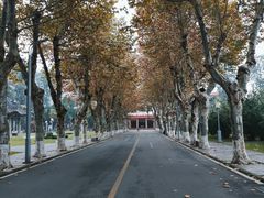 -四川大学(望江校区)