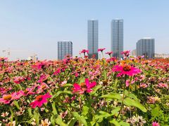 -映月湖中央公园