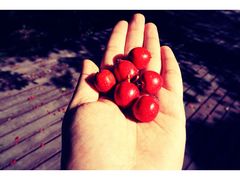 -北京宽沟会议中心