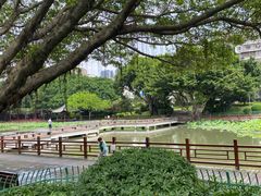 -光明港公园