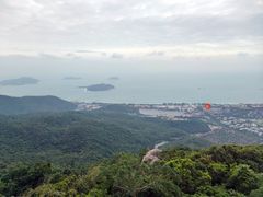 -三亚亚龙湾人间天堂鸟巢度假村
