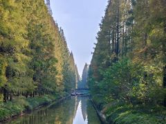 -黄海国家森林公园