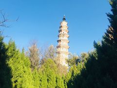 -三塔倒影公园