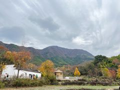 -塔川景区