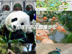 -北京动物园
