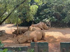 -广州长隆野生动物世界
