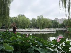 -丰台花园