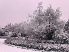 -东湖生态旅游风景区