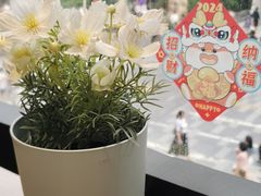 -赏饮·WILL TEA