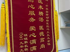 -中农国际动物医院24小时·猫科·骨科·急重症中心