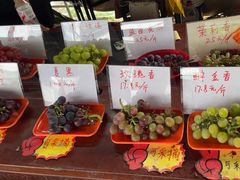 -马陆小张葡萄园农家乐