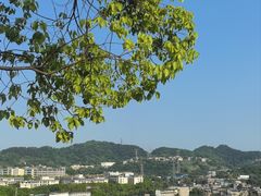 -伴山茶苑·一盏冰茶·半日山居