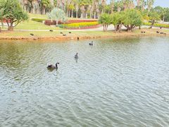 -厦门国家会计学院