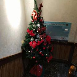 -YESIDO椰岛造型烫发染发