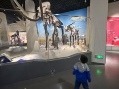 -国家自然博物馆