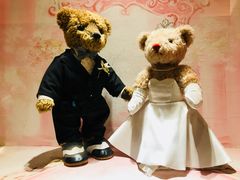 -济州岛泰迪熊博物馆