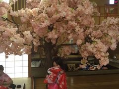 -汤泉良子(金源店)
