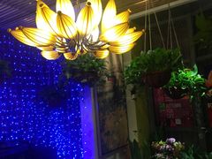 -润园四季椰子鸡火锅(海上世界店)