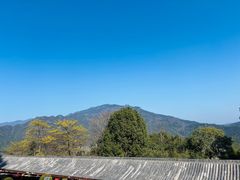 -庐山风景名胜区-东林大佛