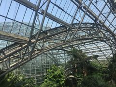 -南山植物园