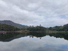 -海南热带雨林国家公园吊罗山景区