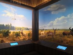 -贝林大翅鲸简餐厅(国家海洋博物馆店)