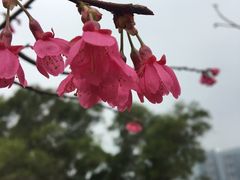 -五通灯塔公园
