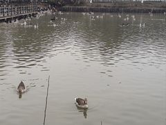 -艾溪湖湿地公园
