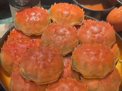 -牛New寿喜烧(金鹰世界店)