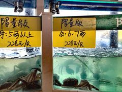 -品鲜村农家菜·阳澄湖大闸蟹(总店)
