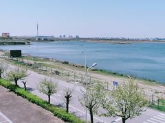-南汇嘴观海公园
