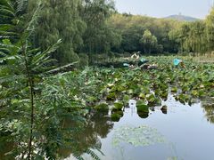 -棒棰岛宾馆景区