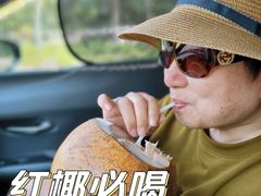 -东郊椰林