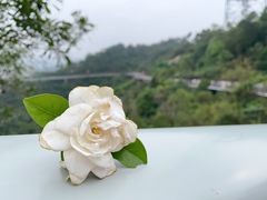 -景山公园