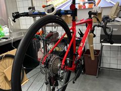 -TREK崔克自行车(碧云店)