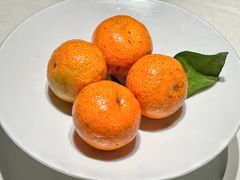 橘子-四季民福烤鸭店(外滩外白渡桥店)